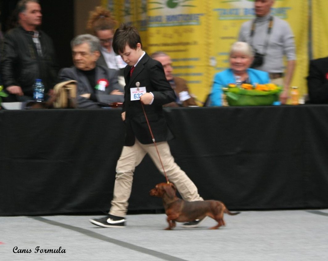 Junior Handler Pistoia 2017